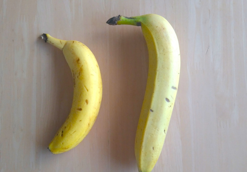用意したサイズの違うバナナ